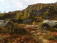 Un bel sentiero  DSCN9394 - Copy